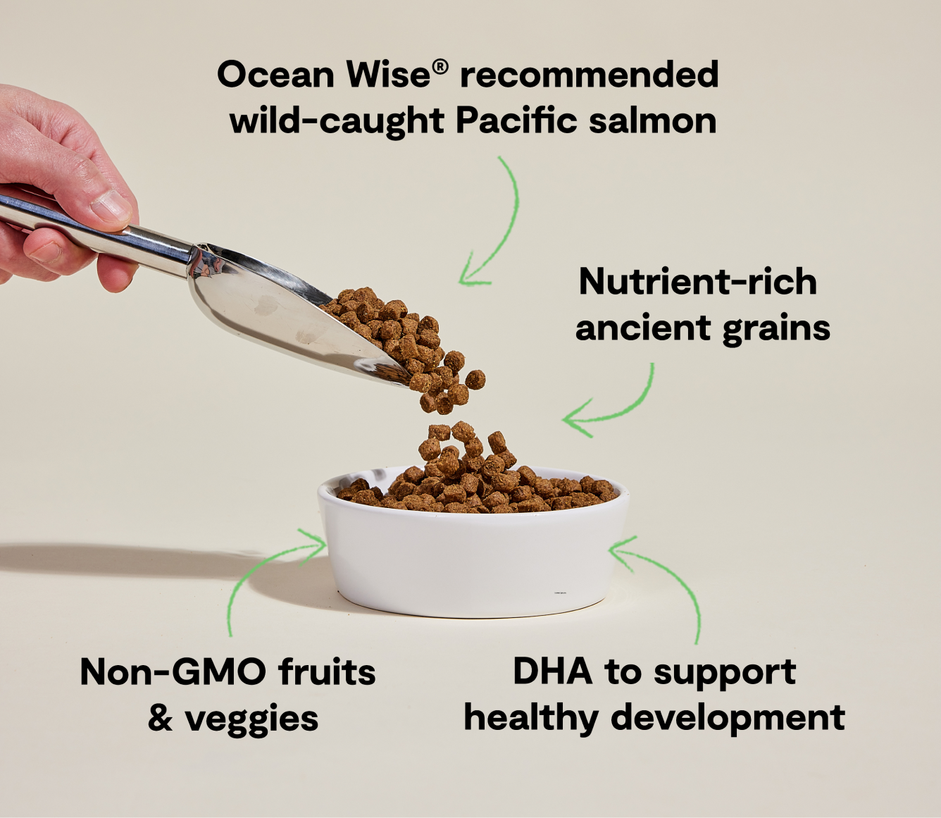 Salmon & Ancient Grains Puppy Kibble