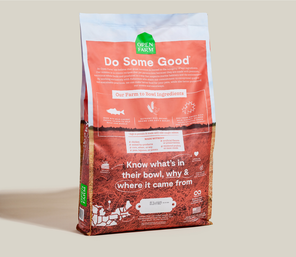 Salmon & Ancient Grains Puppy Kibble
