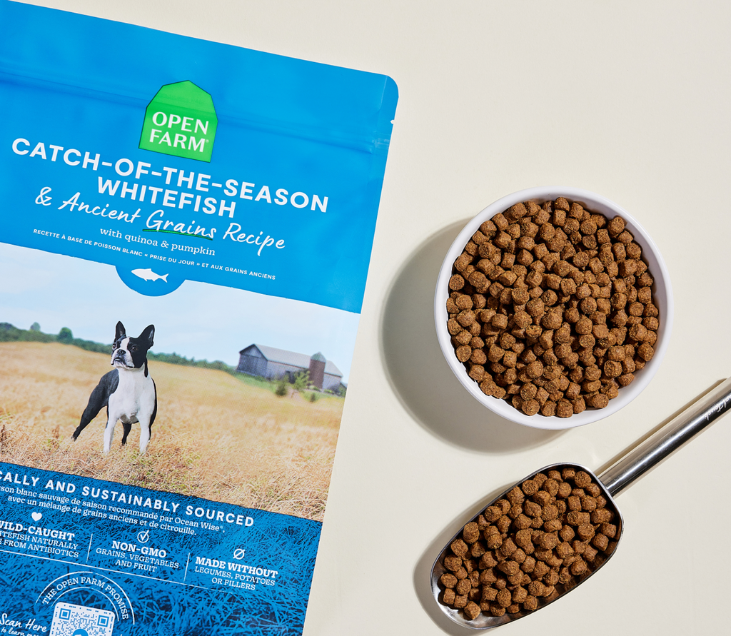 Whitefish & Ancient Grains Dog Kibble