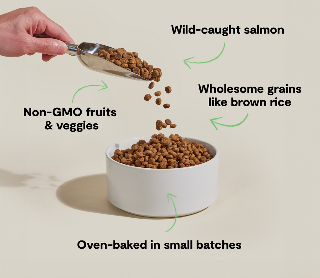 Goodbowl™ Wild-Caught Salmon & Brown Rice Dog Kibble