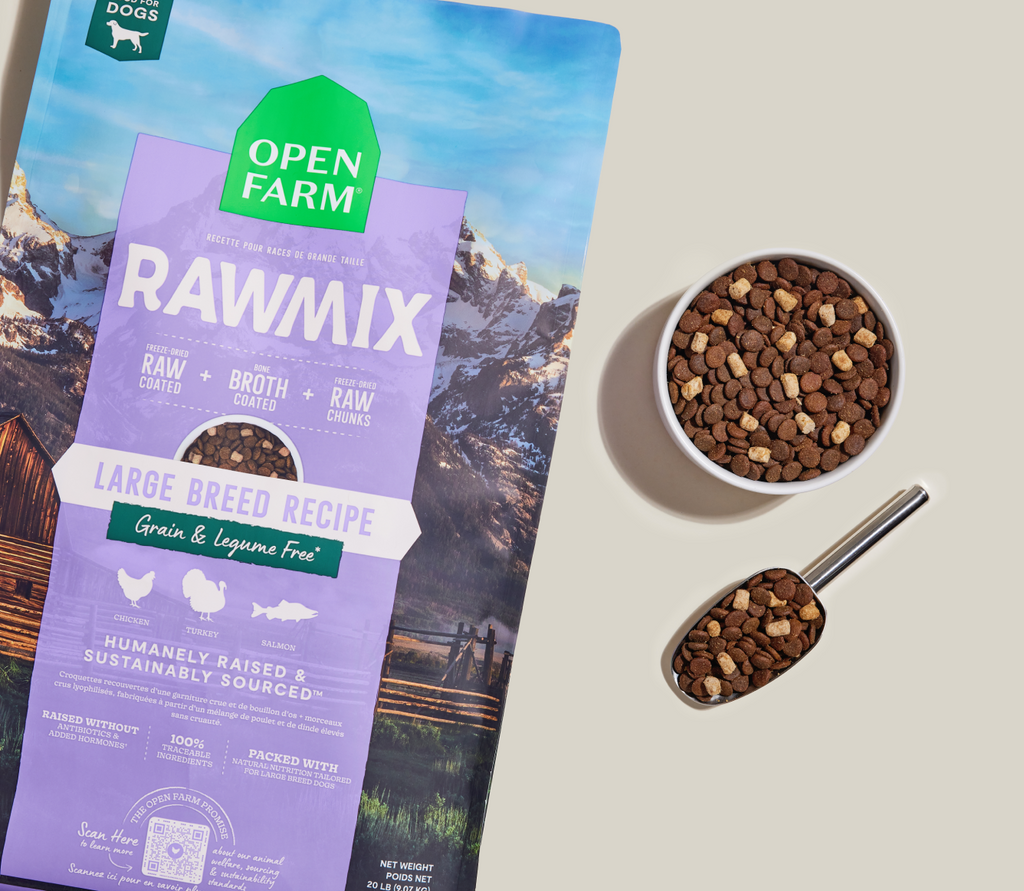 RawMix Large Breed Grain-Free Dog Kibble