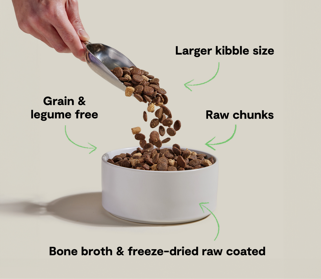 RawMix Large Breed Grain-Free Dog Kibble