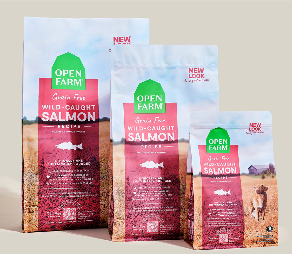 Wild-Caught Salmon Grain-Free Dog Kibble
