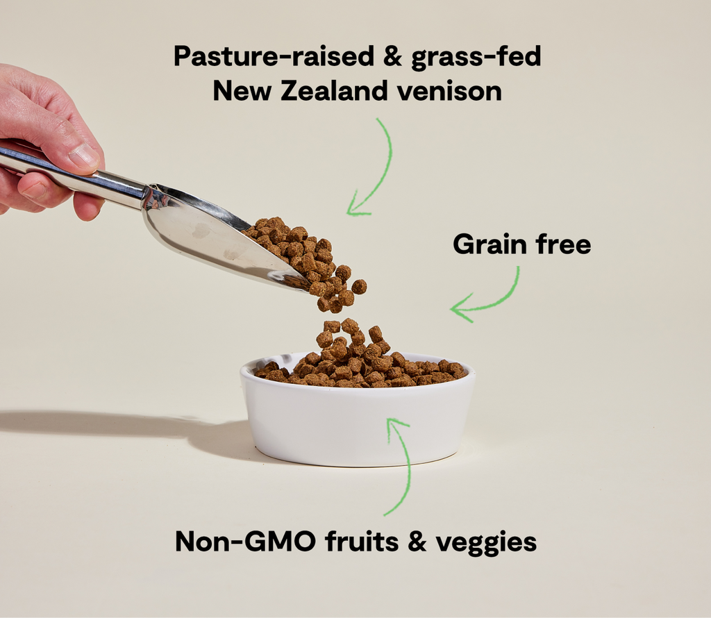 New Zealand Venison Grain-Free Dog Kibble