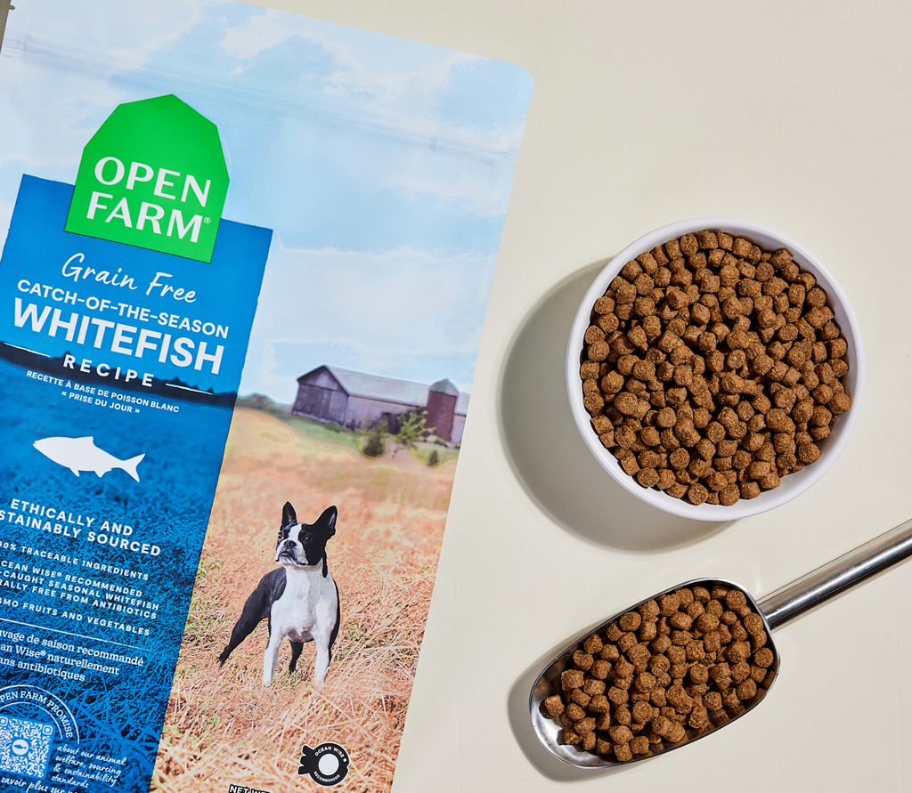 Whitefish Grain-Free Dog Kibble
