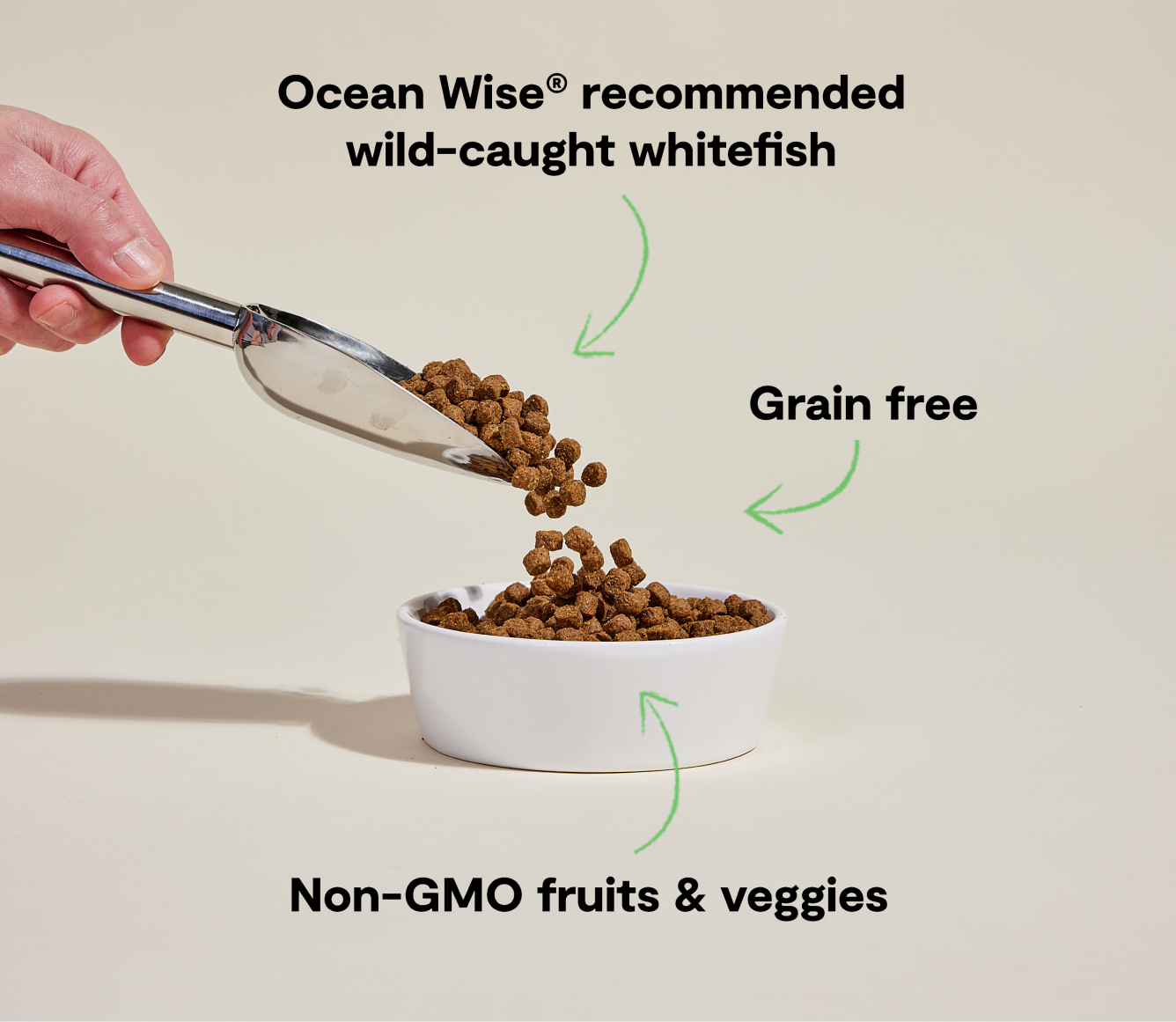 Whitefish Grain-Free Dog Kibble