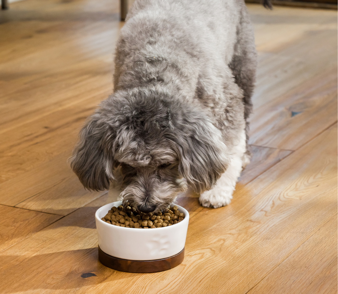 Farmer's Table Pork Grain-Free Dog Kibble