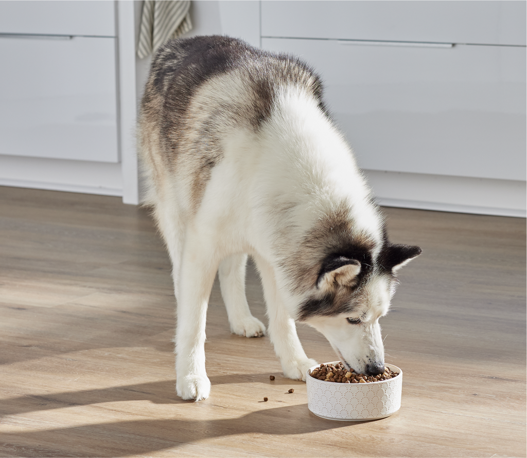 RawMix Large Breed Ancient Grains Dog Kibble