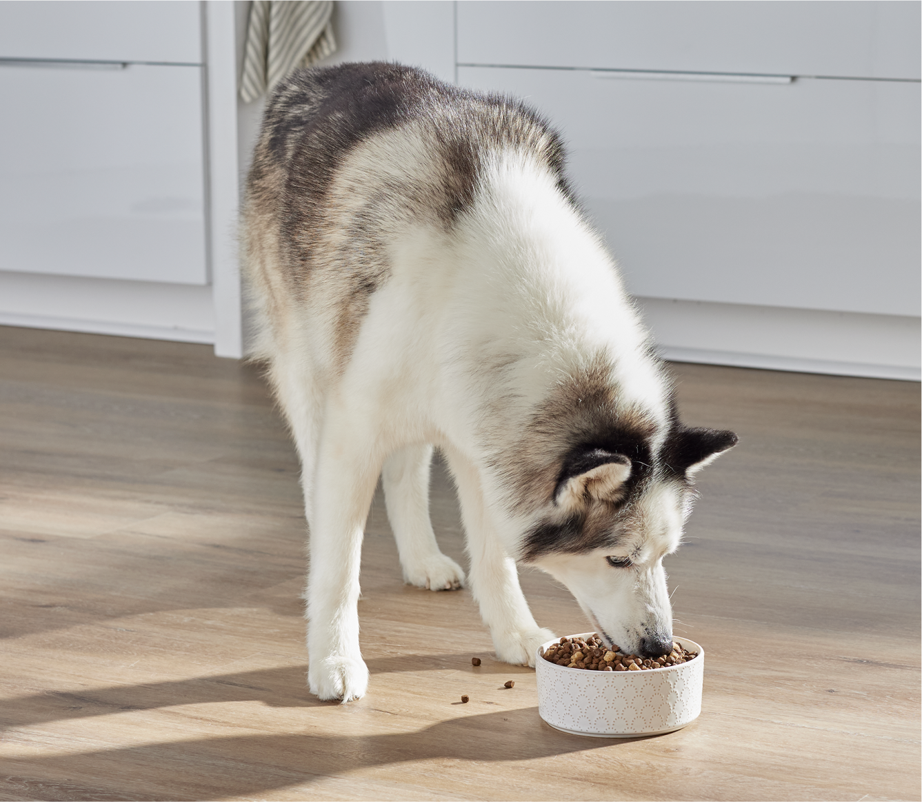 RawMix Large Breed Ancient Grains Dog Kibble