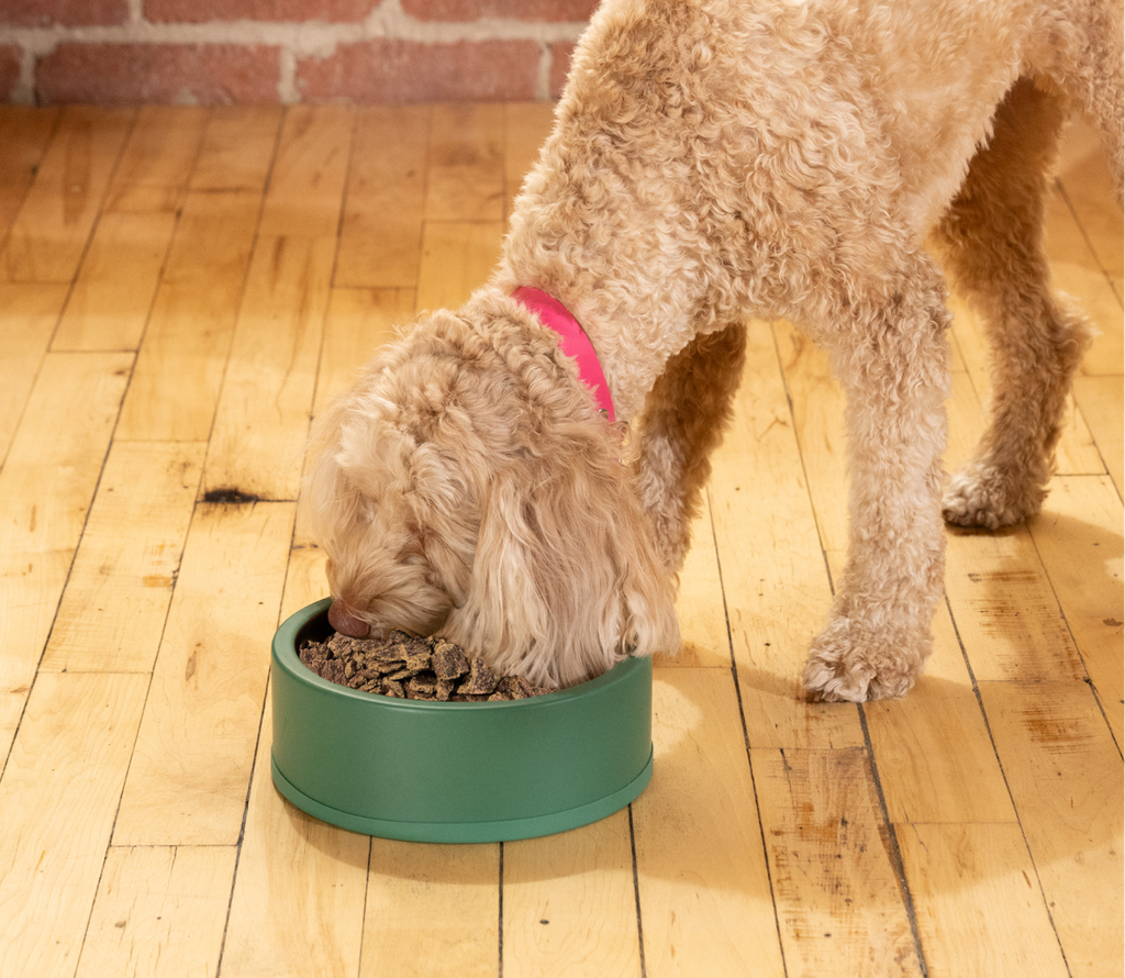 Harvest Chicken Air Dried Recipe for Dogs