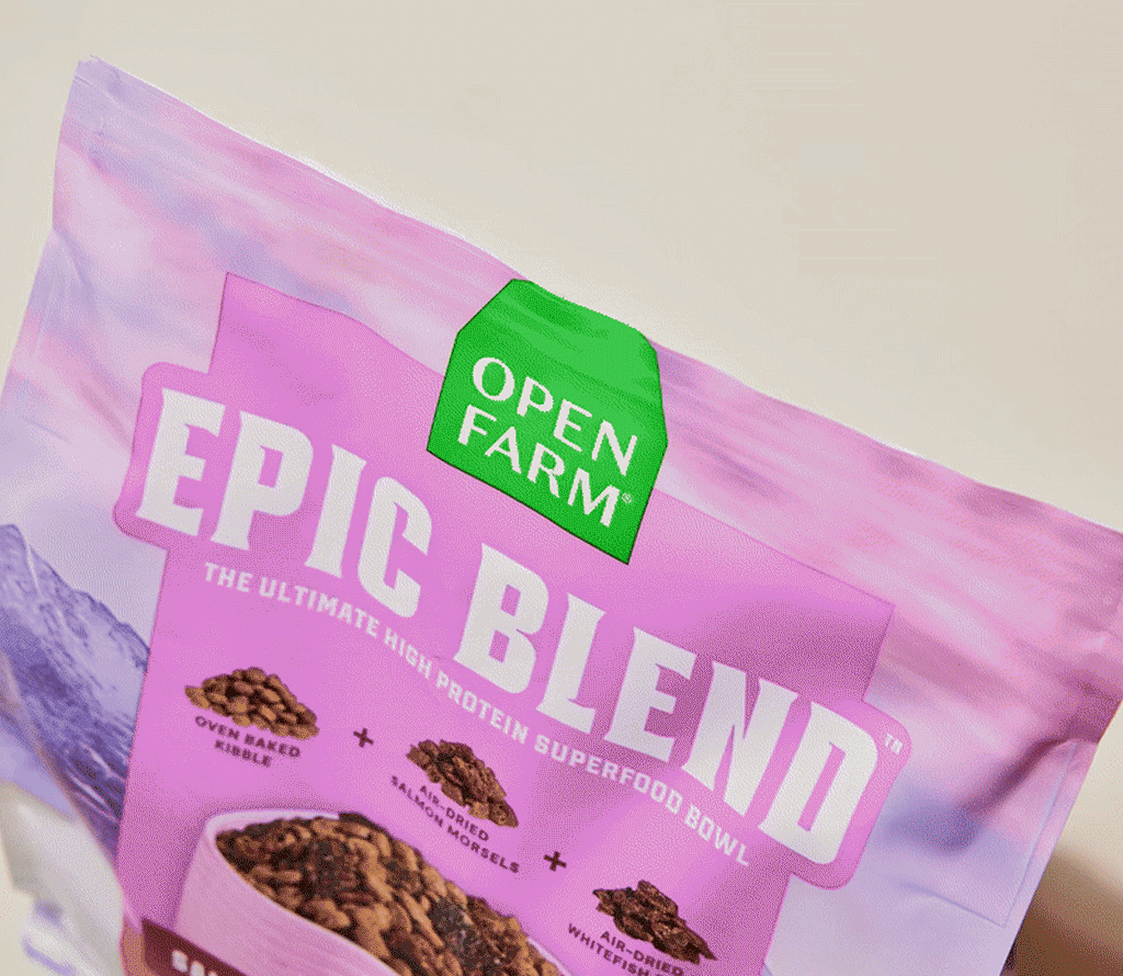 Epic Blend Salmon & Superfood Dry Dog Food