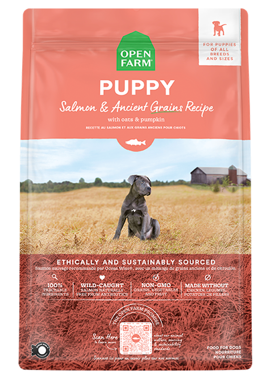 Salmon & Ancient Grains Puppy Kibble
