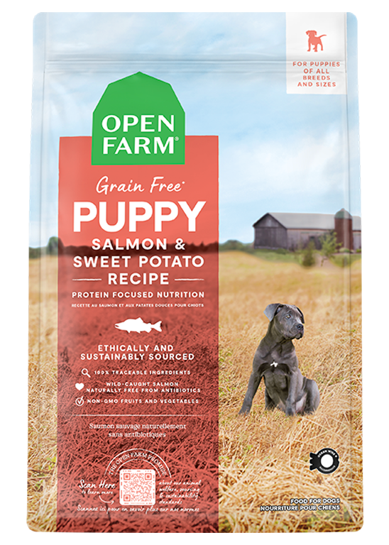 Salmon Grain-Free Puppy Kibble